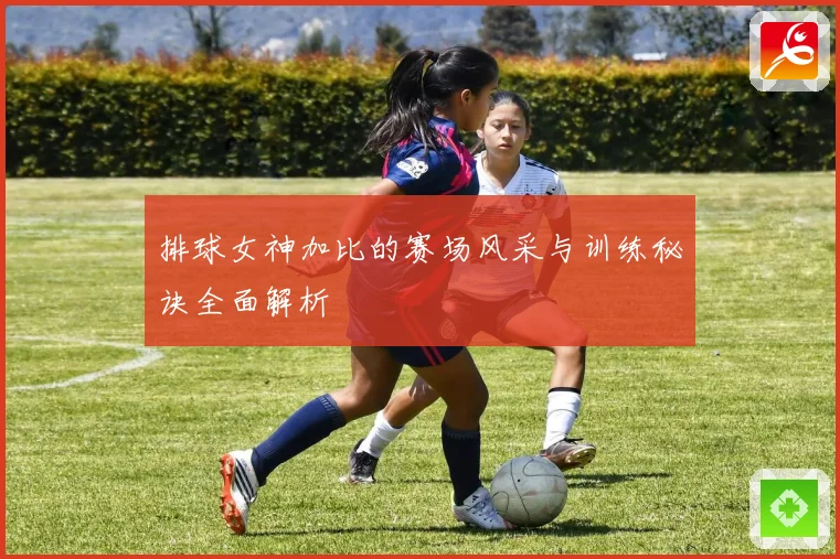 排球女神加比的赛场风采与训练秘诀全面解析