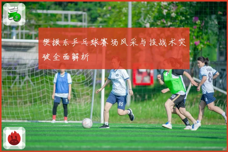 樊振东乒乓球赛场风采与技战术突破全面解析