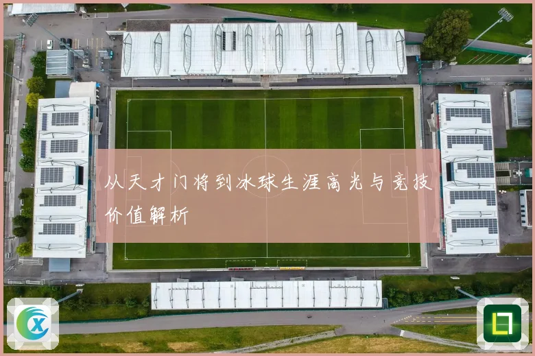 从天才门将到冰球生涯高光与竞技价值解析