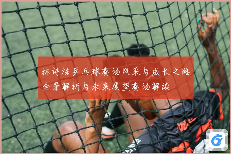 林诗栋乒乓球赛场风采与成长之路全景解析与未来展望赛场解读