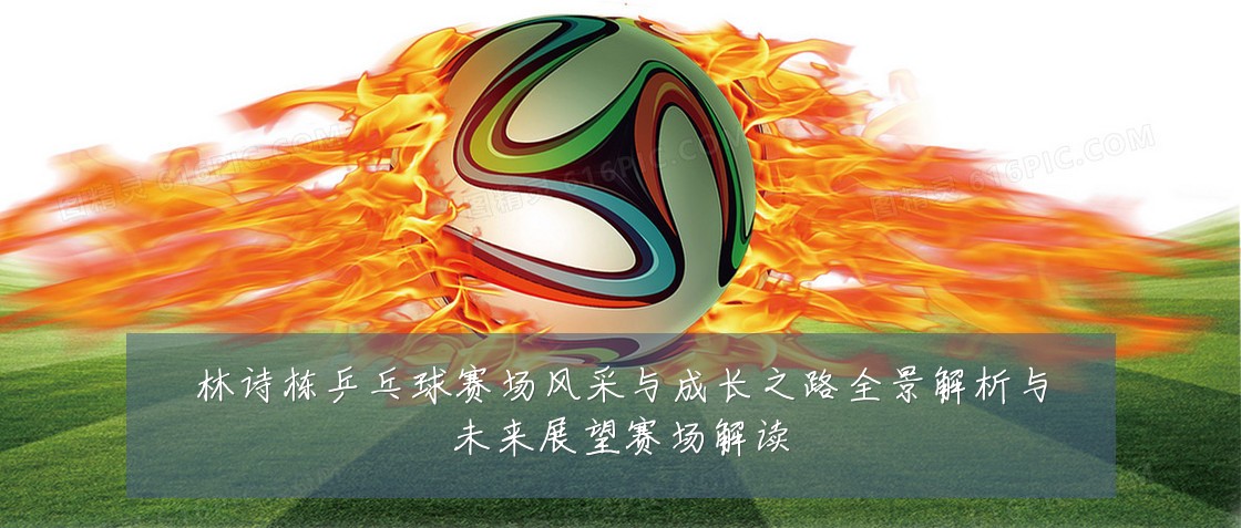 林诗栋乒乓球赛场风采与成长之路全景解析与未来展望赛场解读